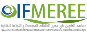 logo-ifmree